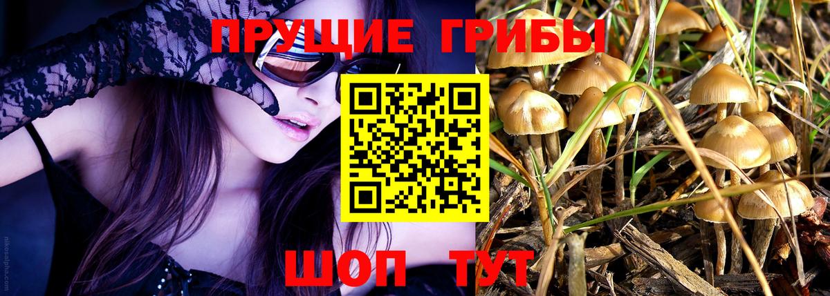 Галлюциногенные грибы MAGIC MUSHROOMS Семёнов