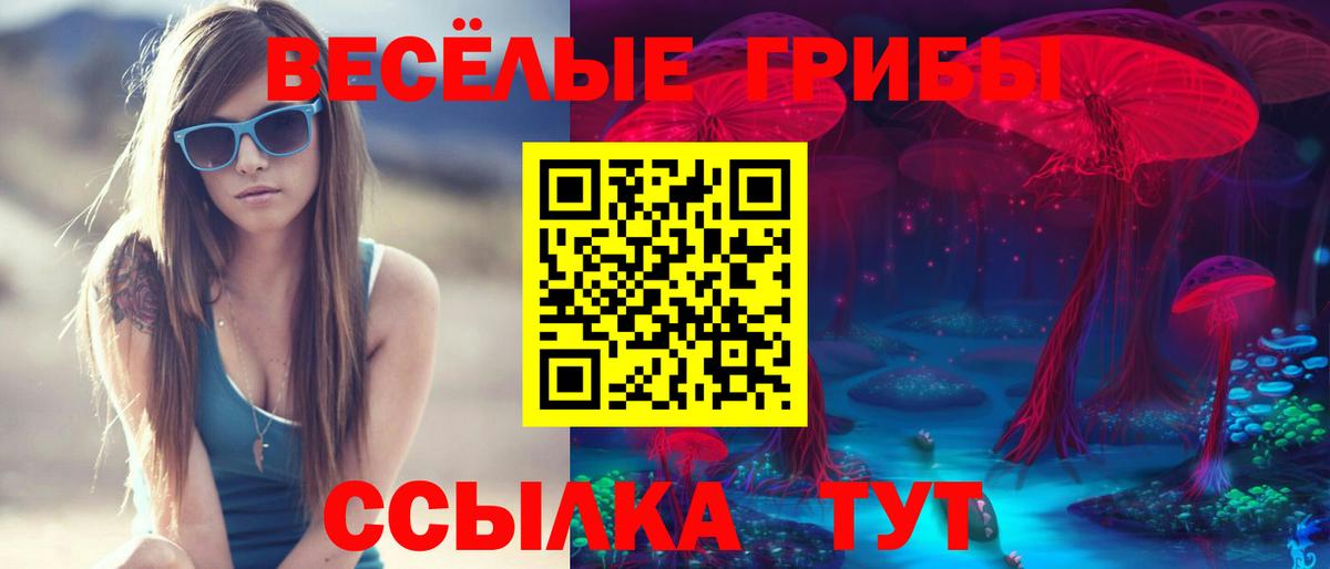 Галлюциногенные грибы GOLDEN TEACHER  Вход с VPN  Галлюциногенные грибы Magic Shrooms  Семёнов 